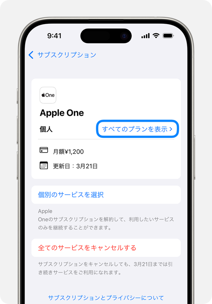 iPhoneサブスク画面