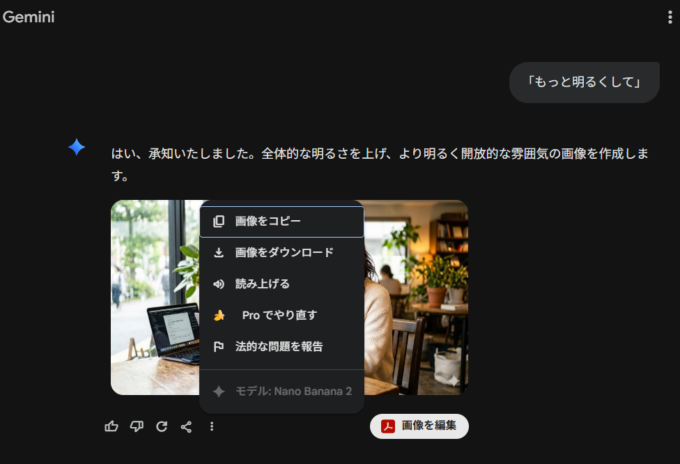Geminiフルサイズでの保存とメタデータの確認